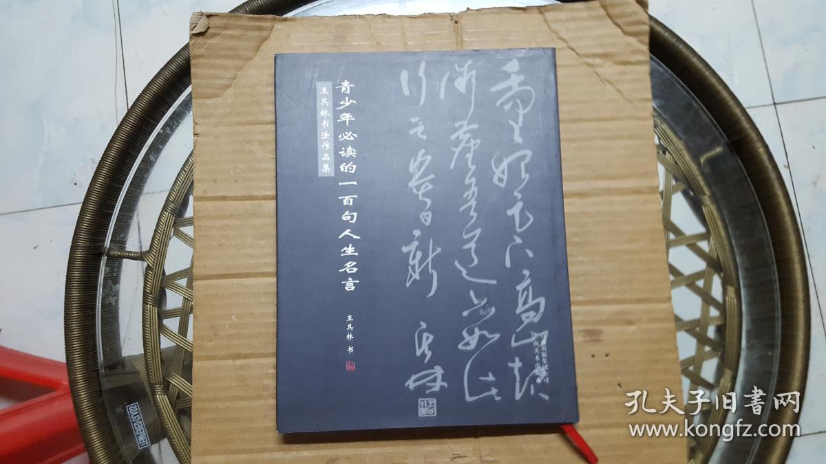 青少年必读的一百句人生名言王其林书法作品集