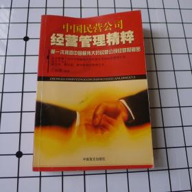 中国民营公司经营管理精粹