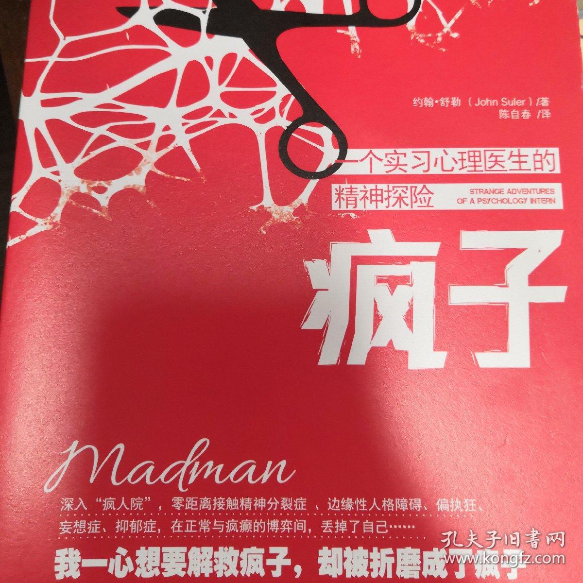 疯子:一个实习心理医生的精神探险