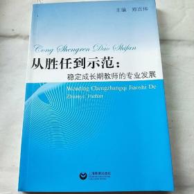 从胜任到示范:稳定成长期教师的专业发展