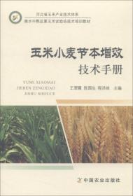 玉米种植技术书籍 玉米小麦节本增效技术手册