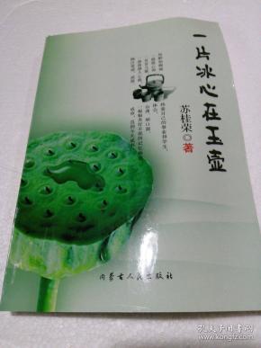 一片冰心在玉壶