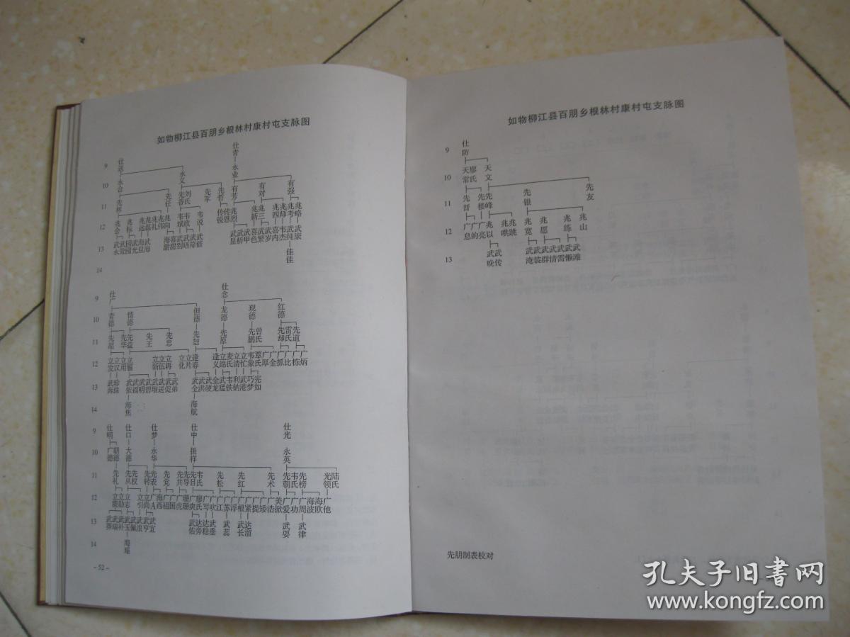 韦氏族谱国善公支系广西柳江来宾等地班辈家泽流万代馨香续千秋儒宗传