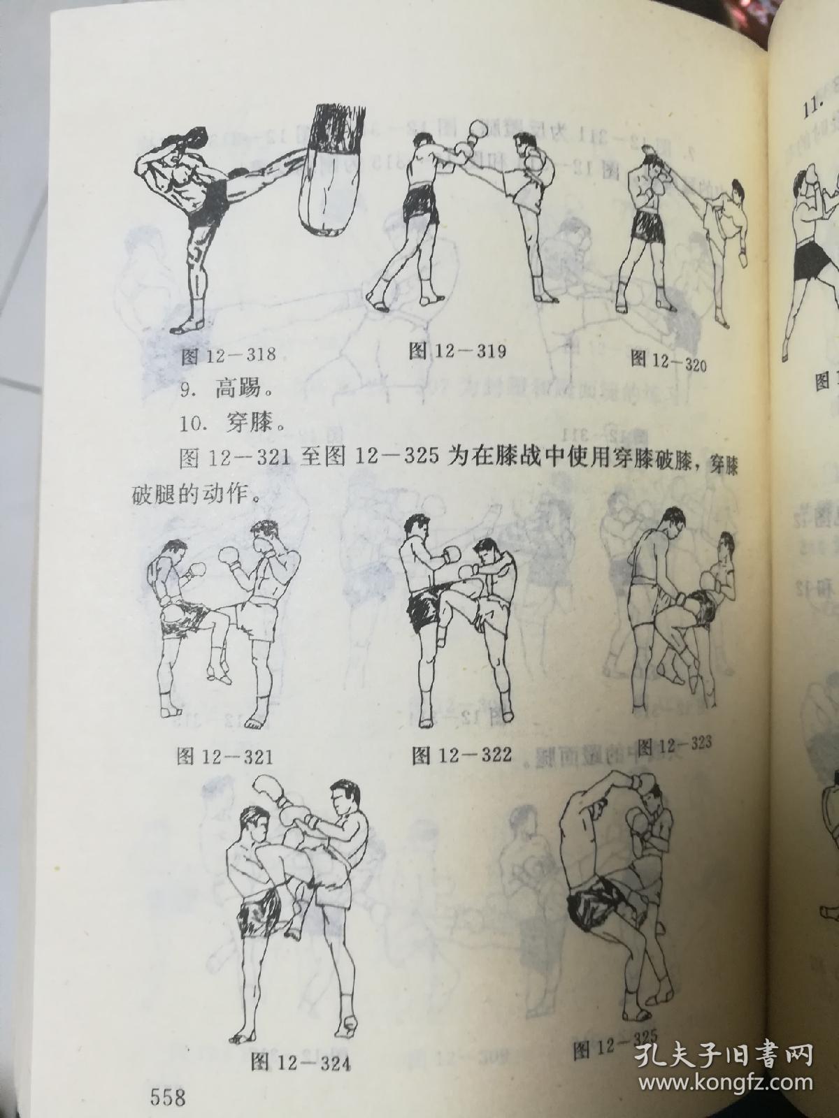 图解泰拳实战技法