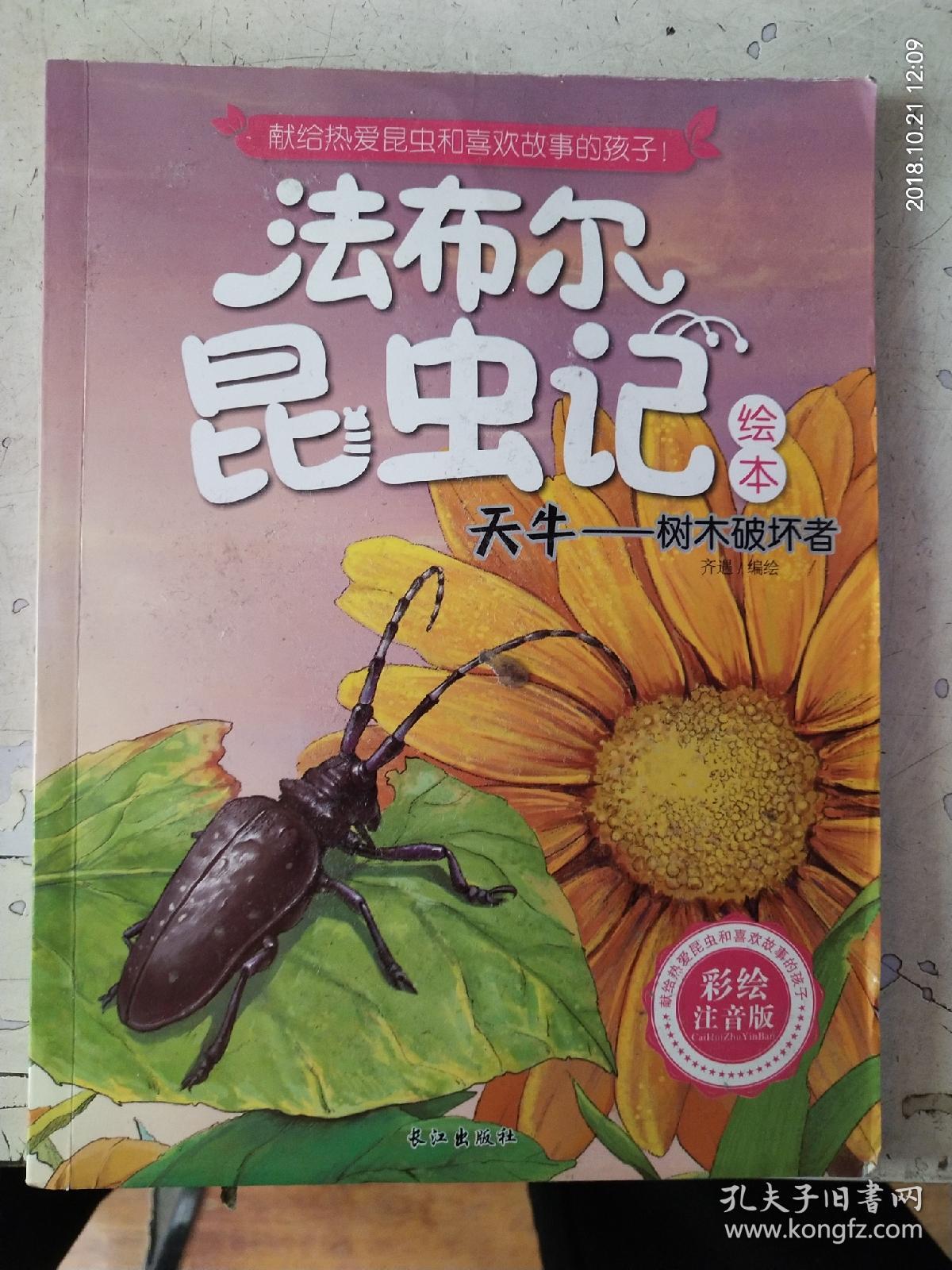 正版现货彩绘注音版法布尔昆虫记绘本天牛树木破坏者9787549242092