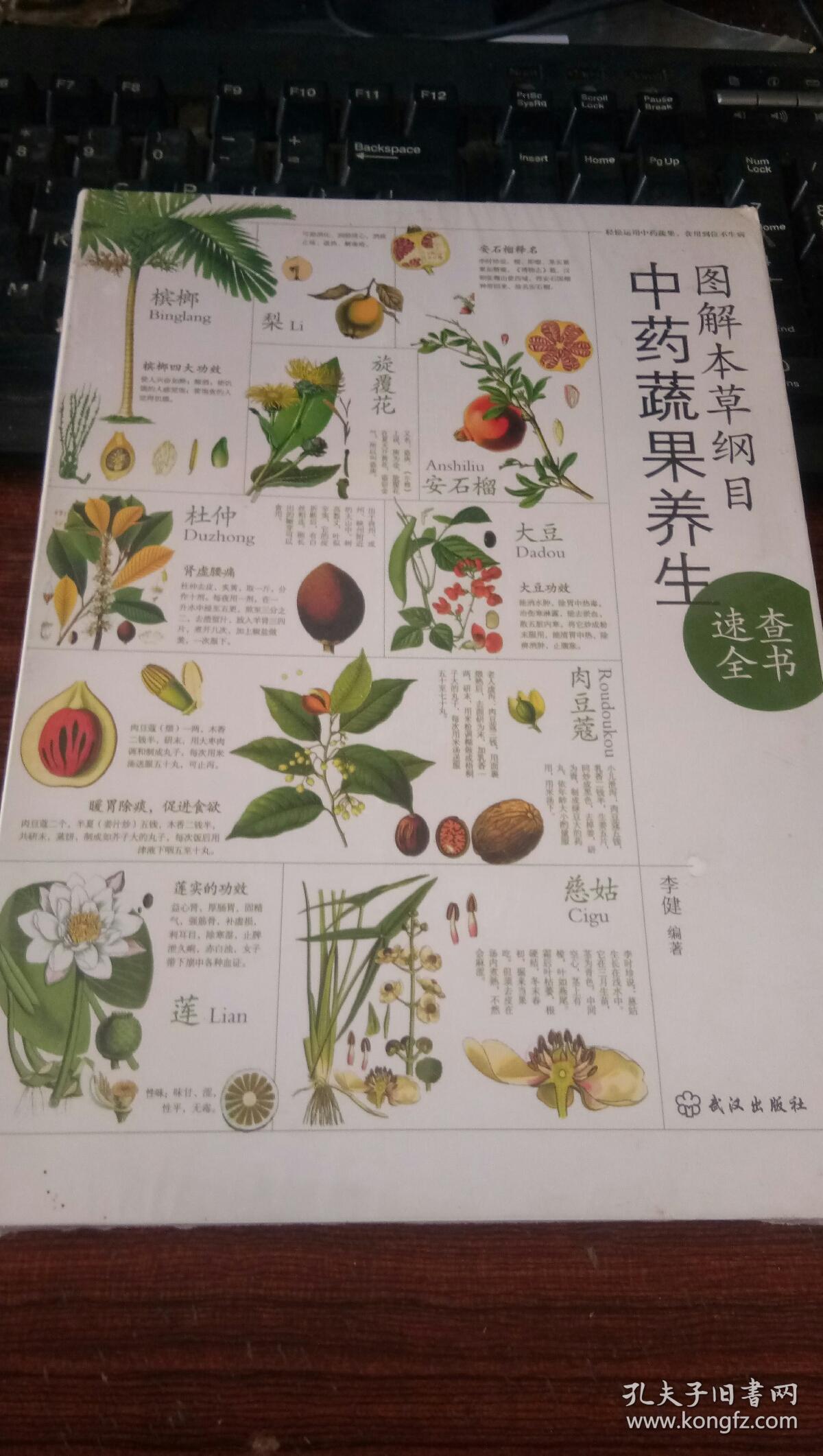 图解本草纲目中药蔬果养生速查全书
