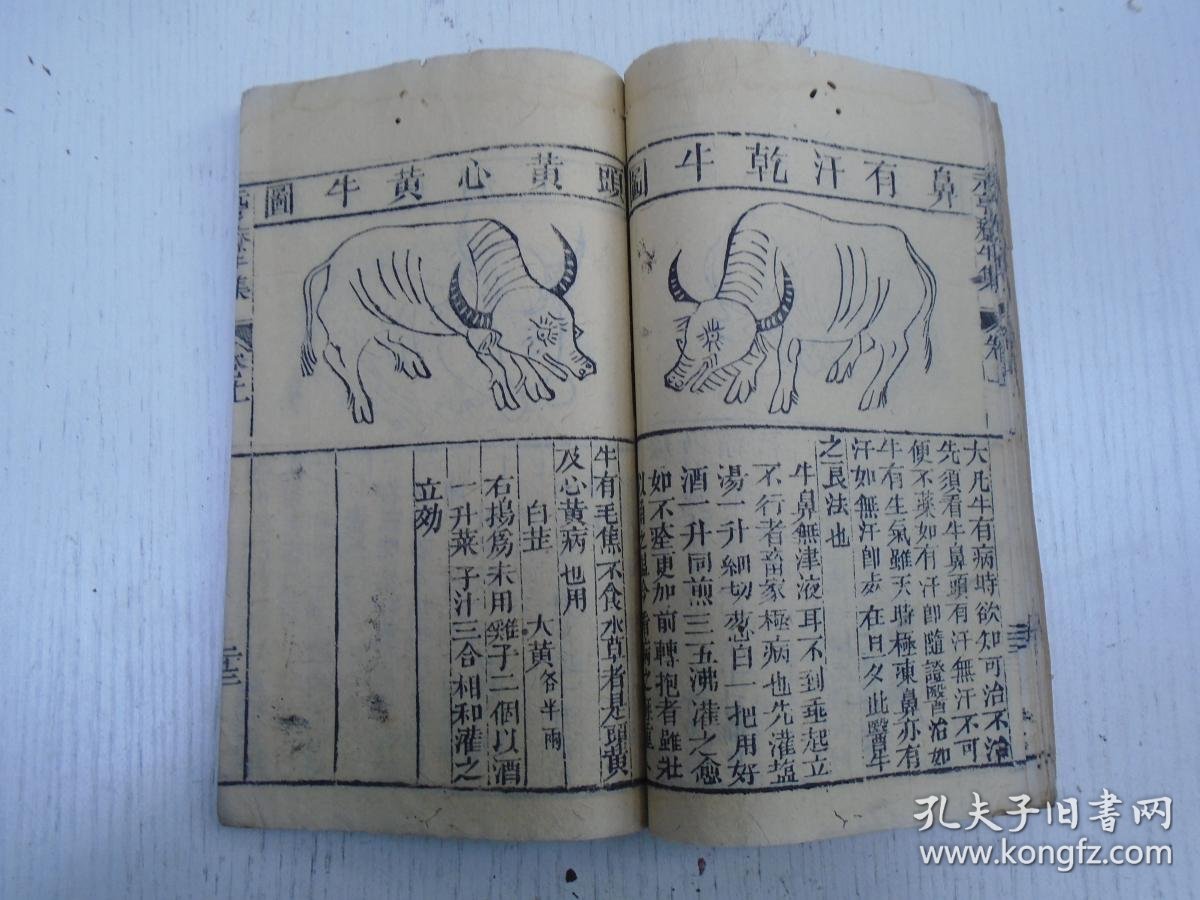 板存成都达道会《元亨牛经大全(元亨疗牛集)》卷之上(论牛保耕牛系养