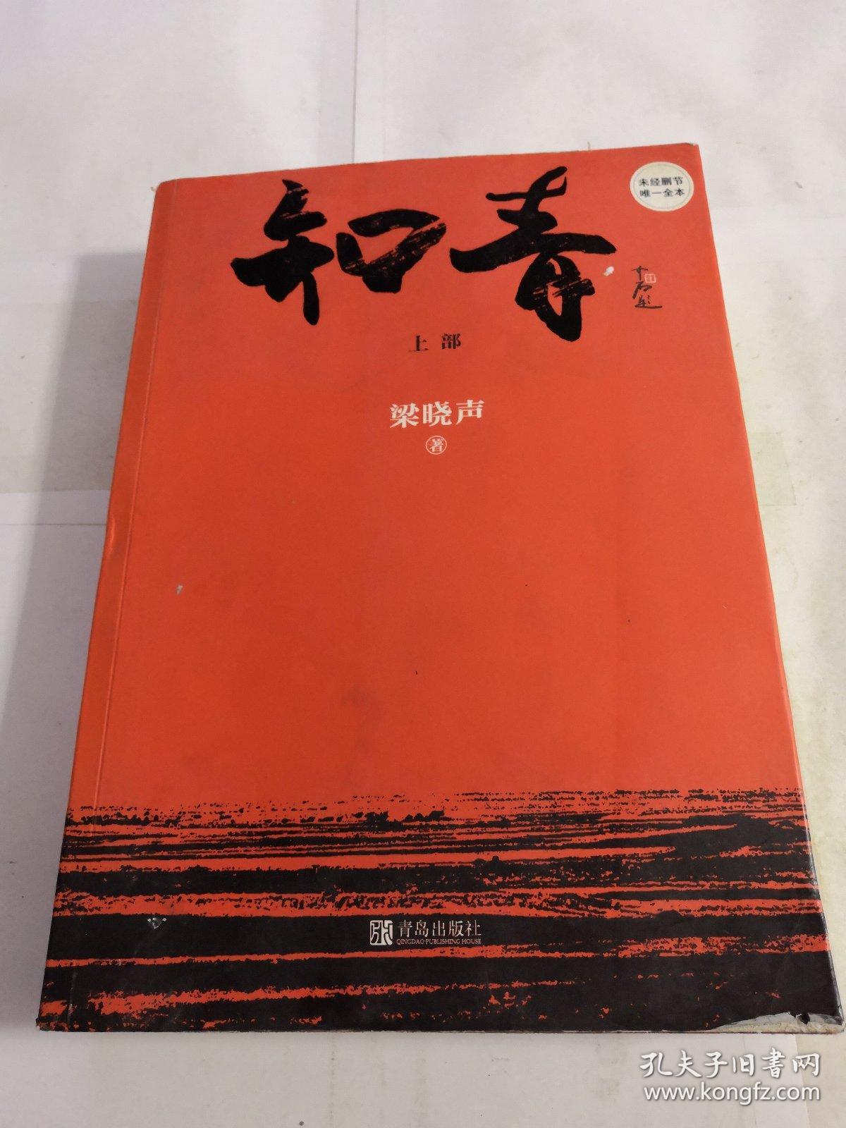 知青(梁晓声 著)_简介_价格_小说书籍_孔网