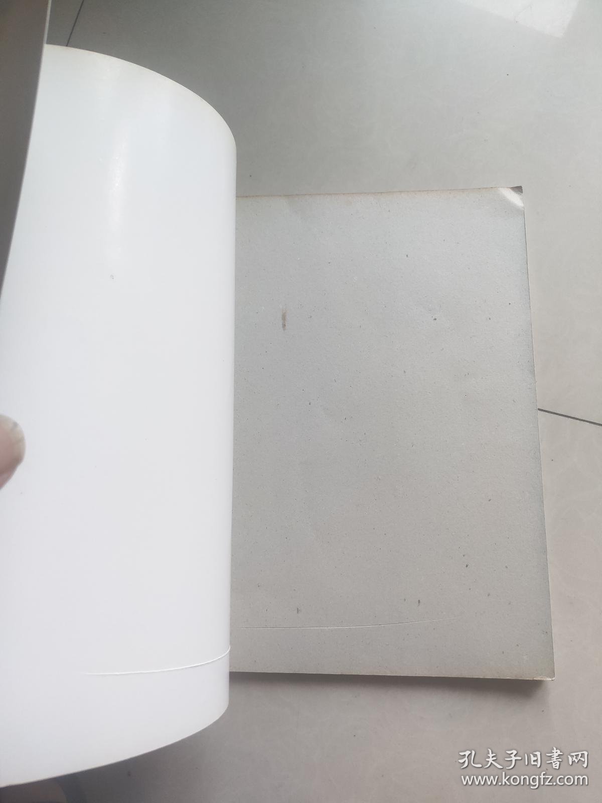 画家张正勋：当代艺术之光