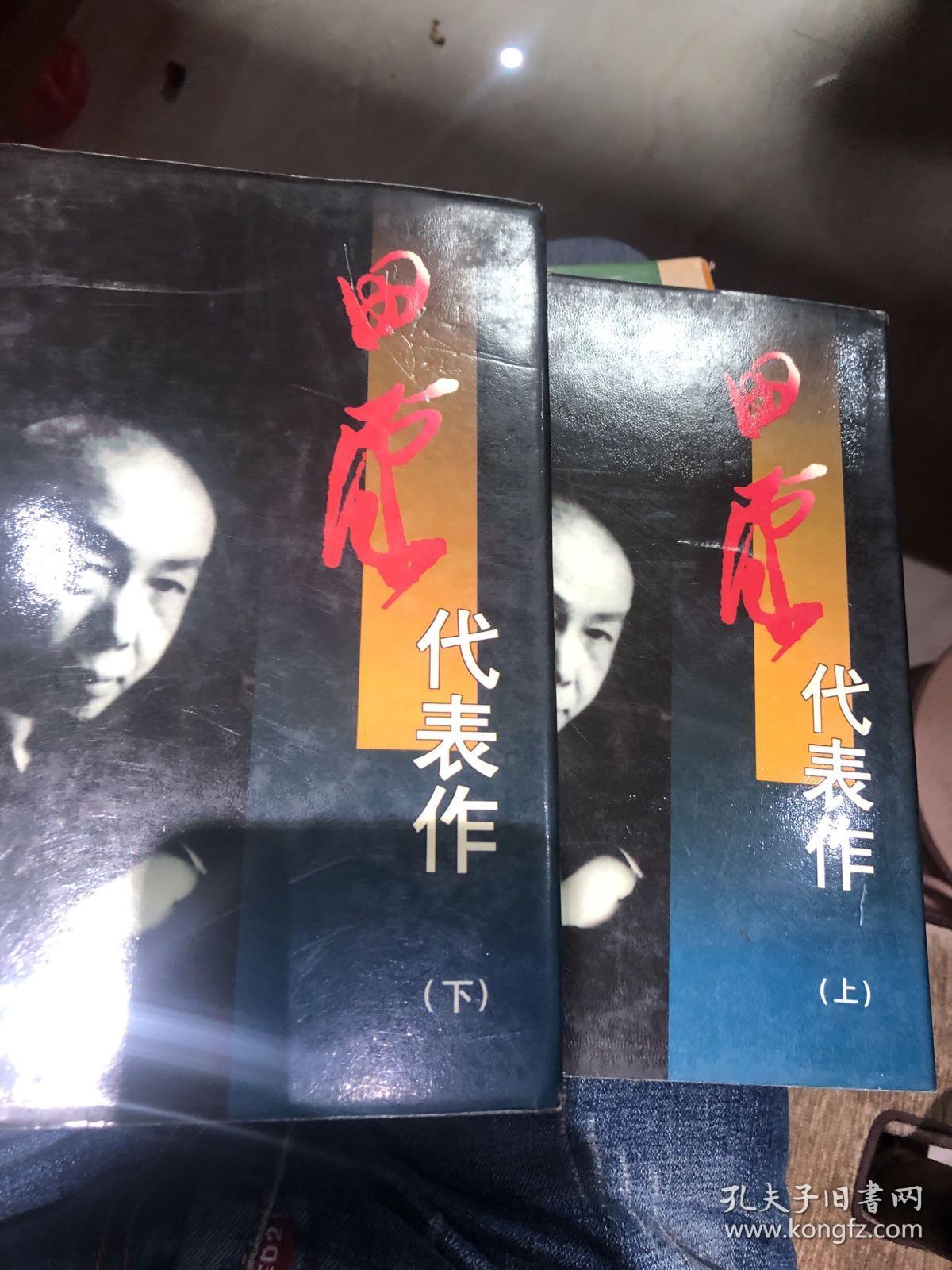 田汉代表作 上下