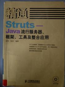 精通Struts-Java流行服务器.框架.工具及整合应用.