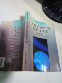08  (中国知识分子丛书)   文化紊流中的文学与文士（库存书