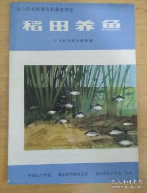 00 2020-09-22上书 加入购物车 收藏 作者:廖国璋 出版社:广东科技