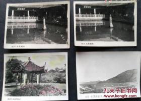 一组5·60年代的杭州风光老照片3寸