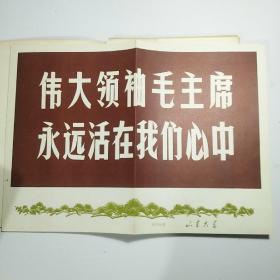 伟大领袖毛主席永远活在我们心中