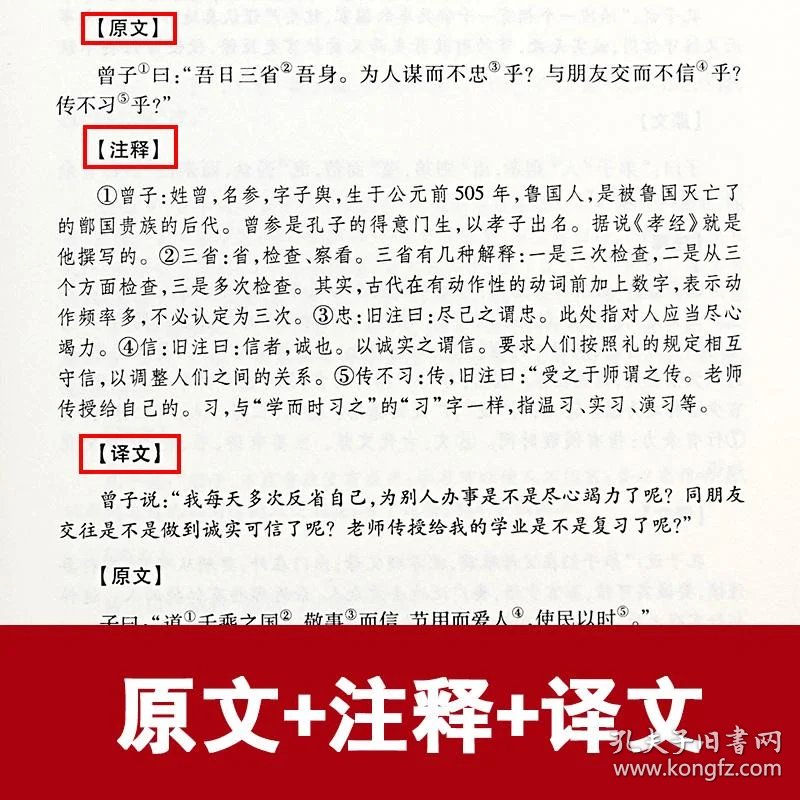 宋词精选：穿越千年的诗歌之美