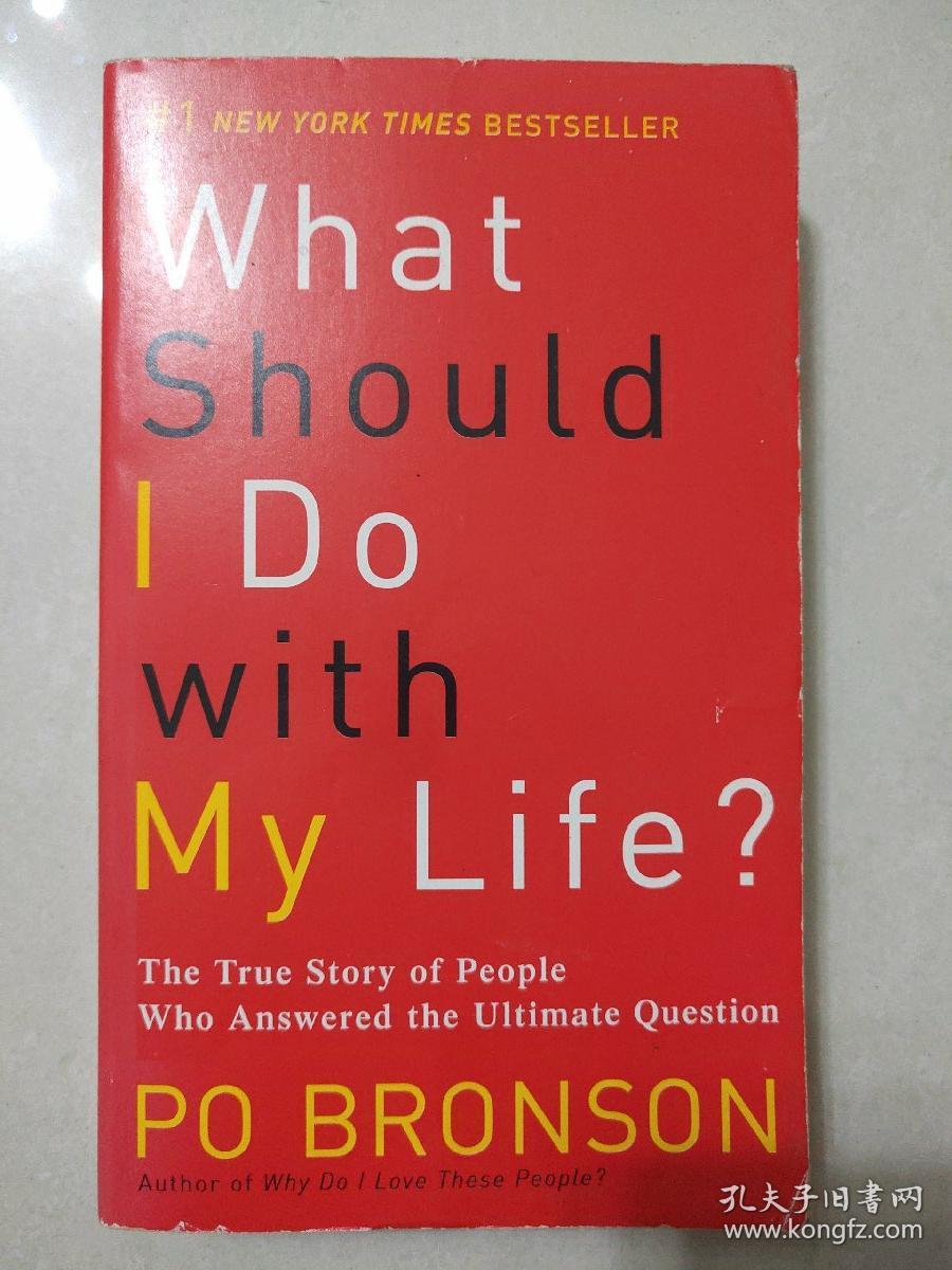 whatshouldidowithmylifethetruestoryofpeoplewhoansweredthe