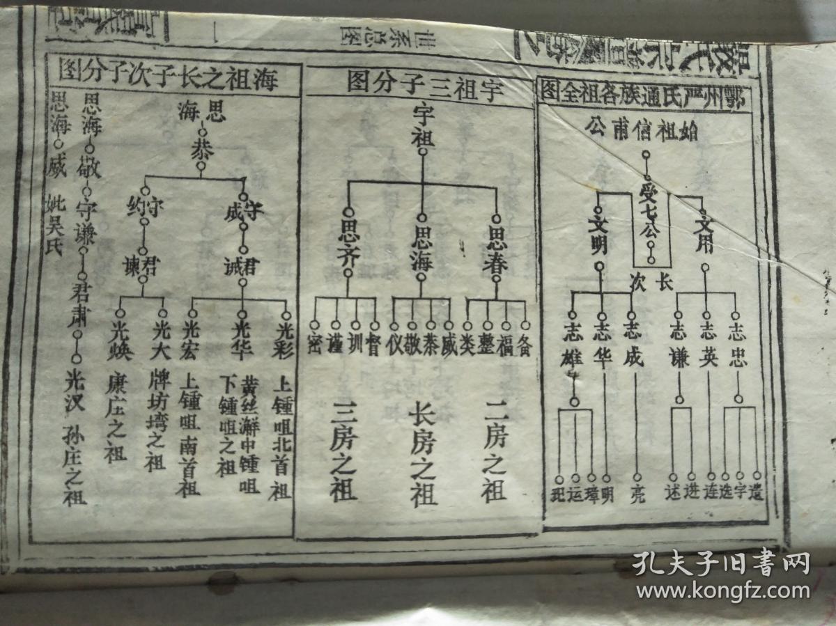 严氏宗谱 【富春堂】信甫公支 (信甫 字仲允 号裕斋 原籍姚江 析居