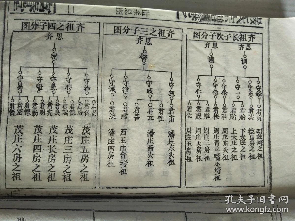 严氏宗谱 【富春堂】信甫公支 (信甫 字仲允 号裕斋 原籍姚江 析居