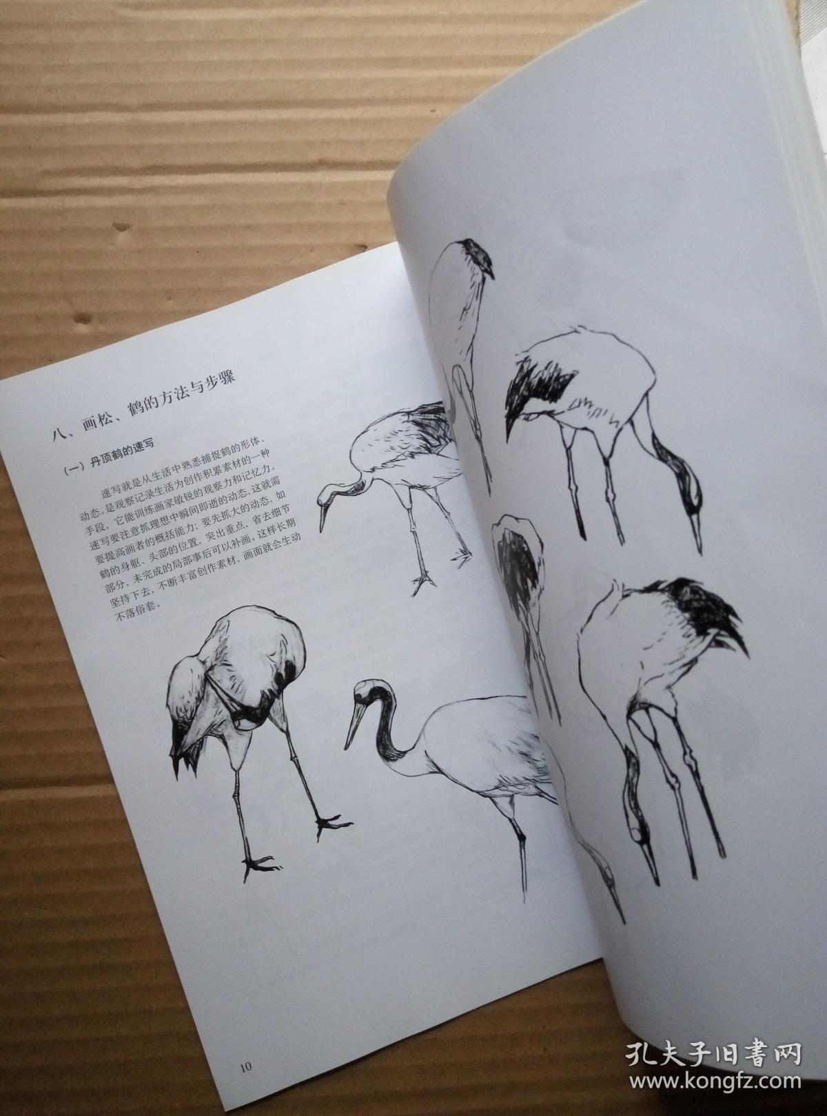 怎样画简笔松鹤