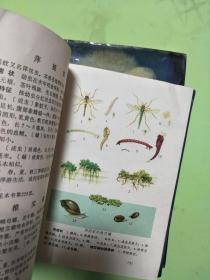《水稻、绿肥病虫害防治》 现货，早期，多幅精美彩色插图！