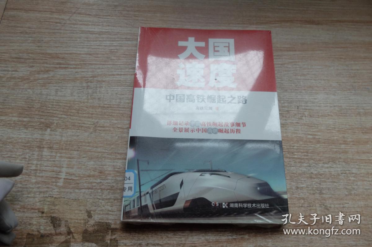 大国速度:中国高铁崛起之路