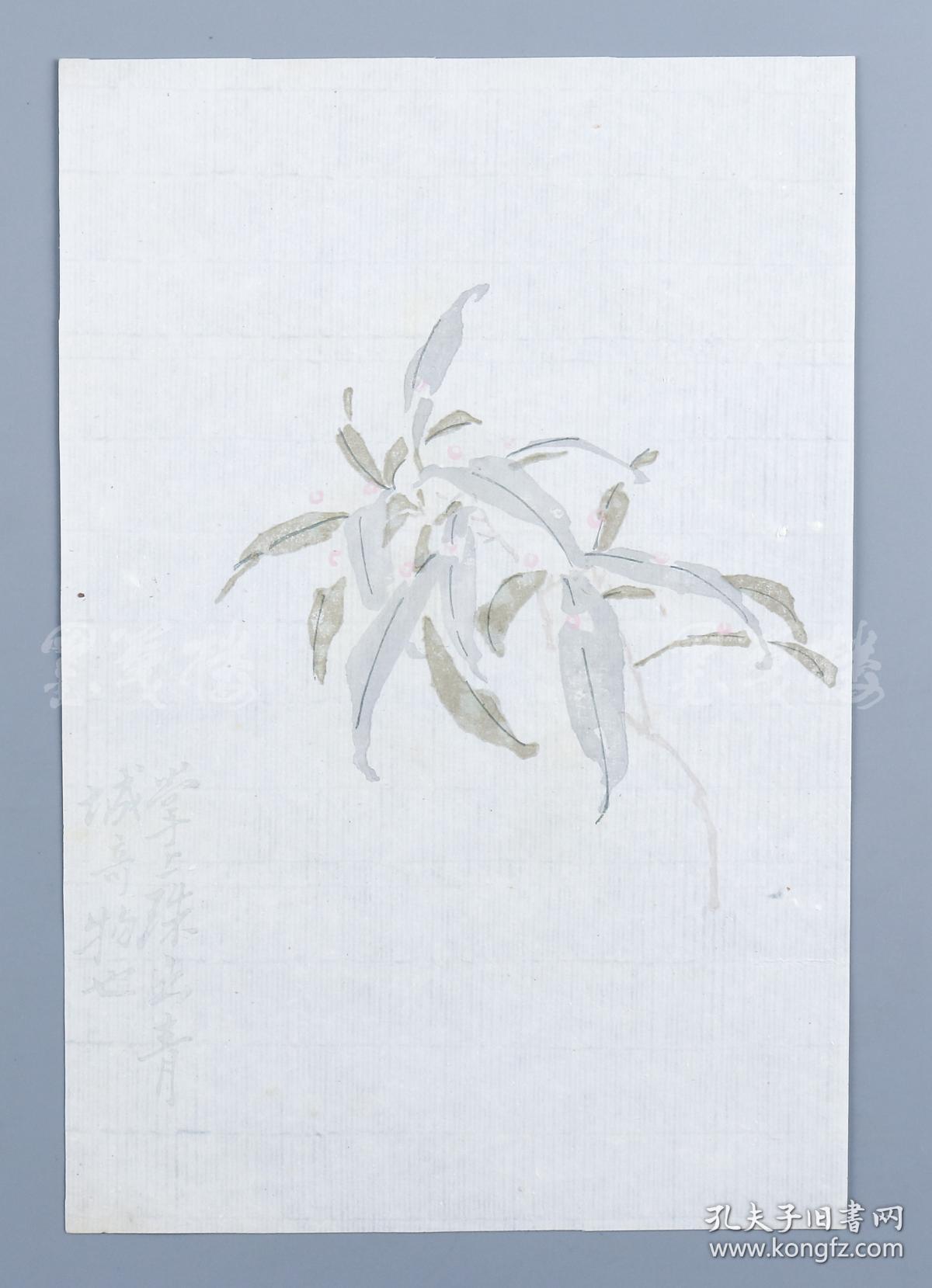 旧制 花笺纸 两张 hxtx319370