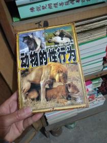 动物性行为VCD[5碟】