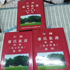 中国廖氏族谱武威(花公世系)卷三，卷四，卷五合售