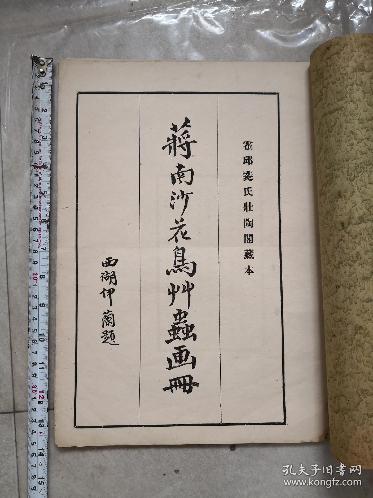 蒋南沙画册民国珂罗版