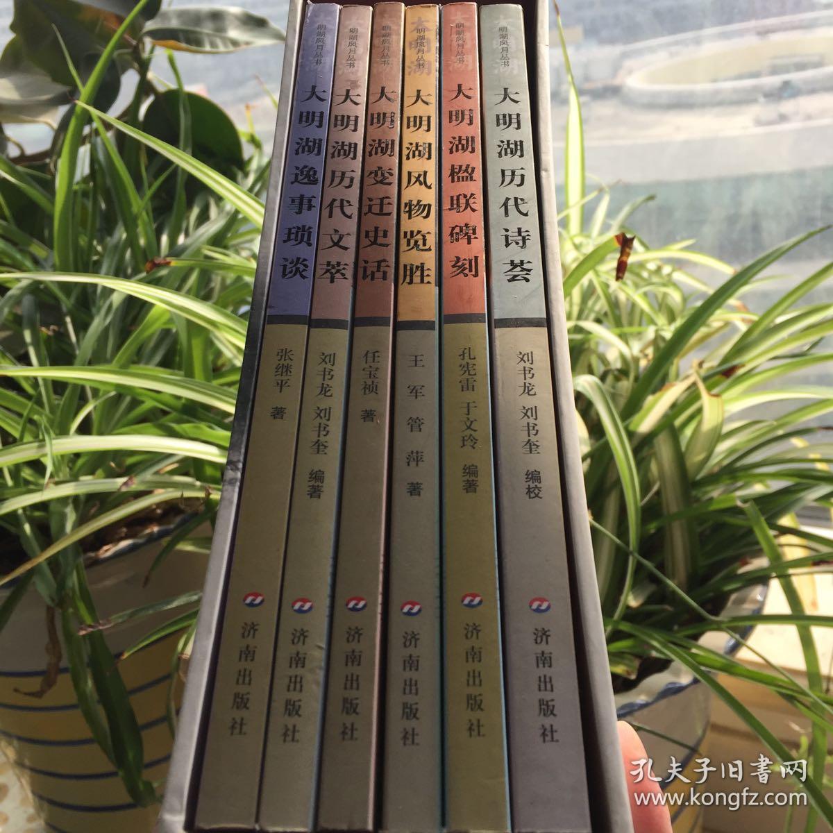 明湖风月丛书(1-6册全)带函套_刘书龙孔宪雷张继平等编著_孔夫子旧书