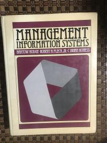 managementinformationsystems