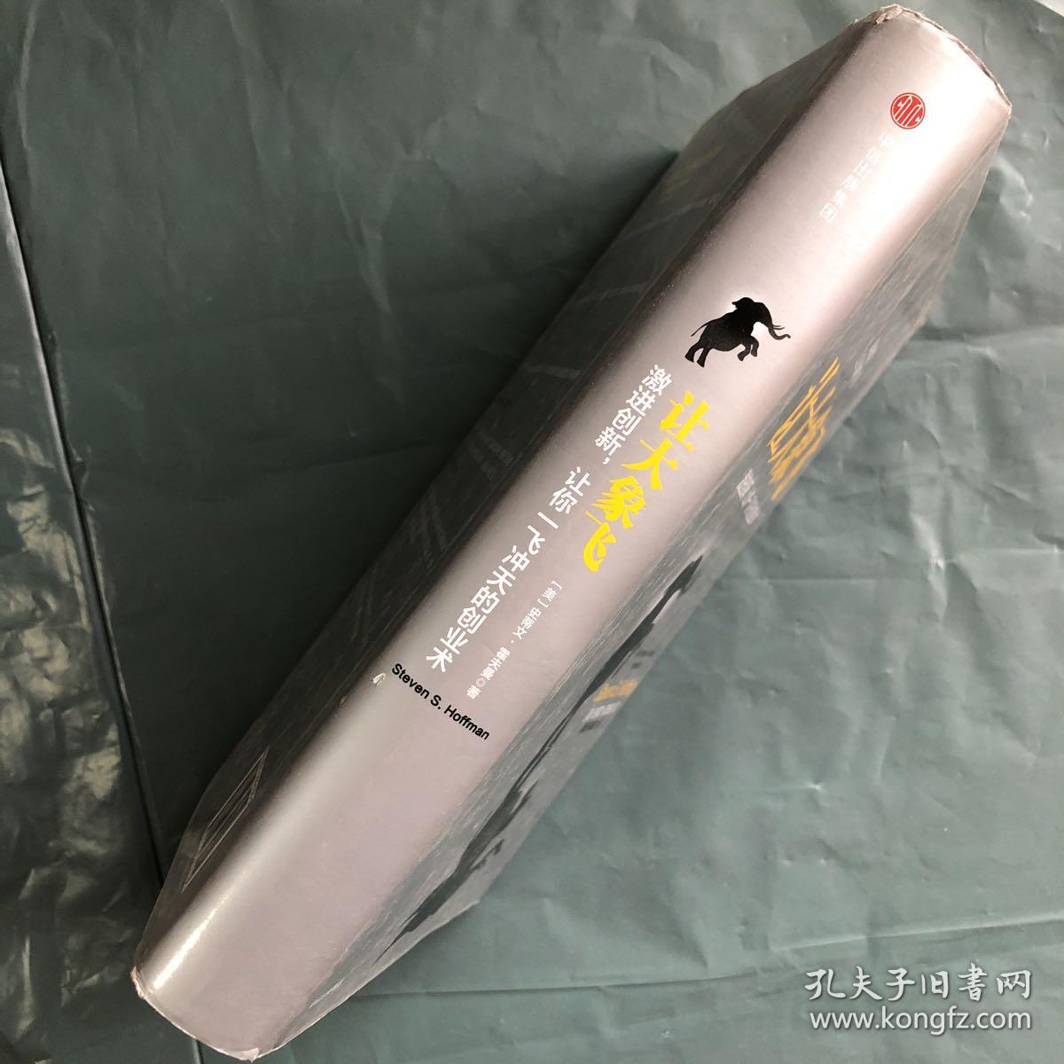 让大象飞:激进创新,让你一飞冲天的创业术