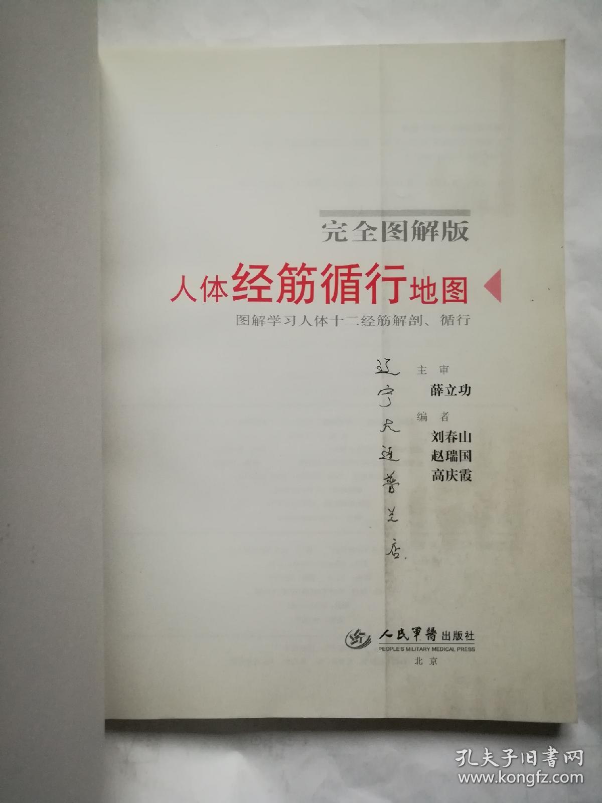 人体经筋循行地图