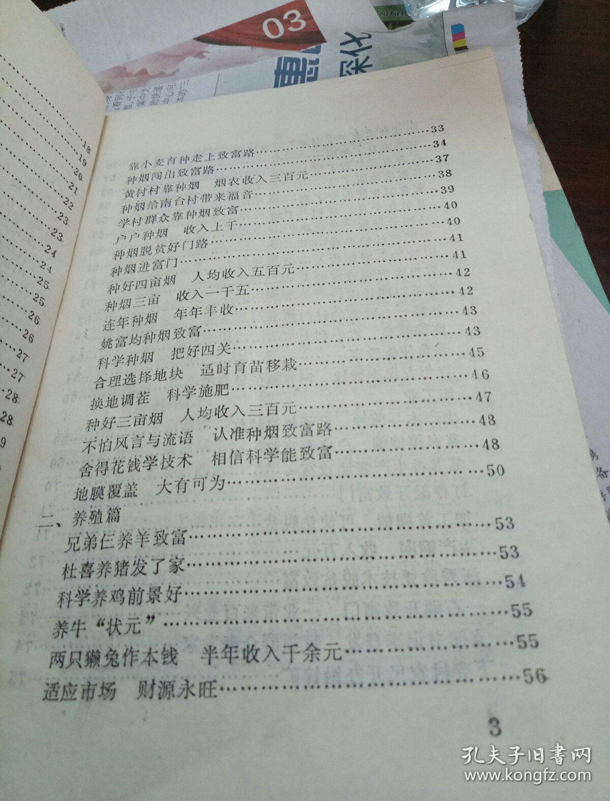 热门致富门路100条视频播放下载(热门致富门路100条视频播放下载安装)