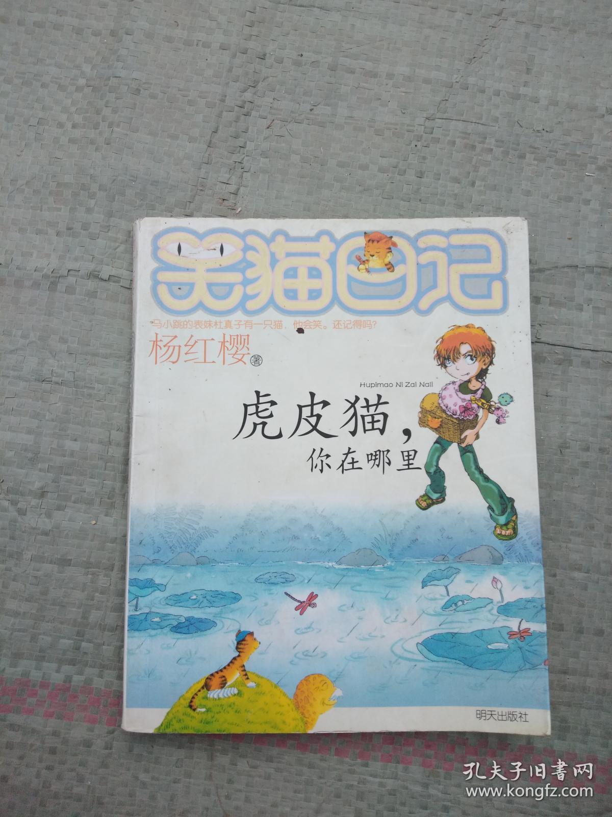 笑猫日记·虎皮猫,你在哪里