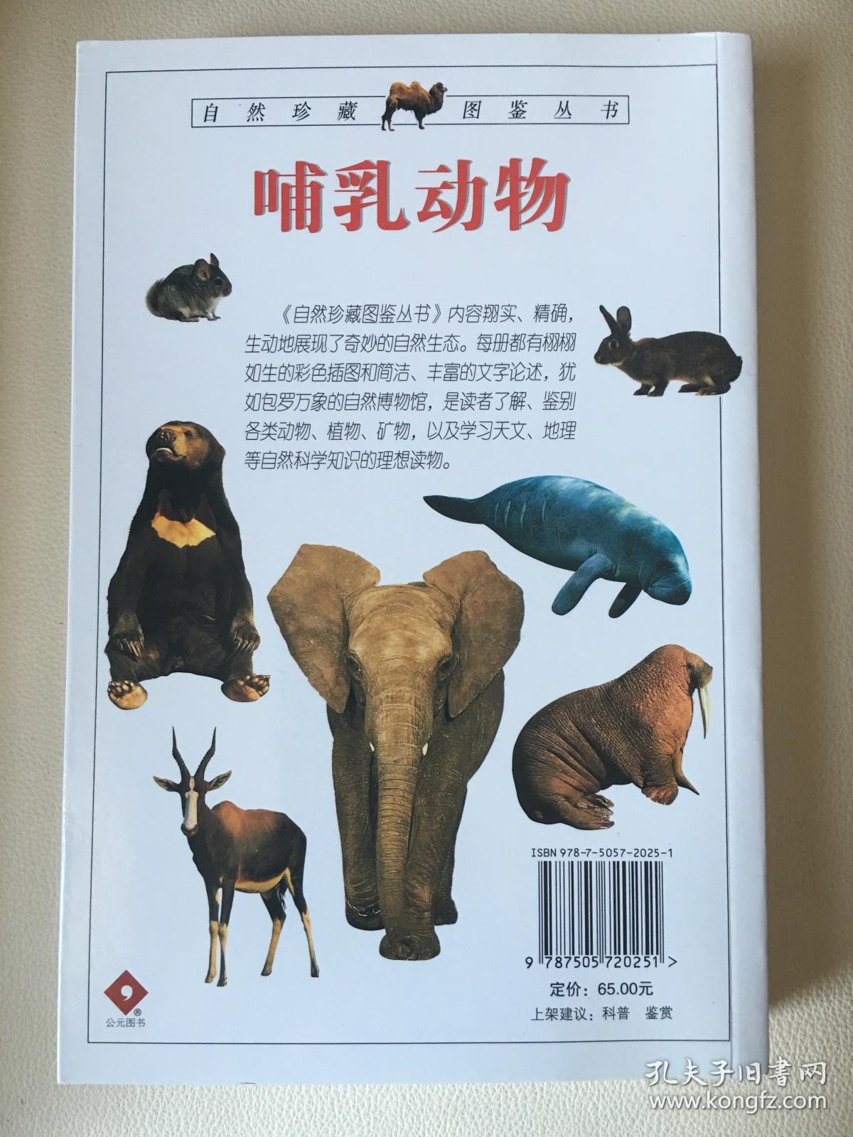 哺乳动物:全世界450多种哺乳动物的彩色图鉴——自然珍藏图鉴丛书