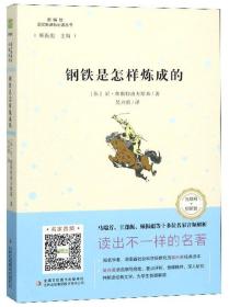 钢铁是怎么炼成的