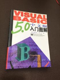 Visual Basic 5.0 中文版入门图解