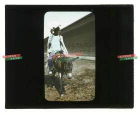 清代民国玻璃幻灯片--1911年辛亥革命湖北汉口武昌起义时期骑驴的清代男子民俗老照片