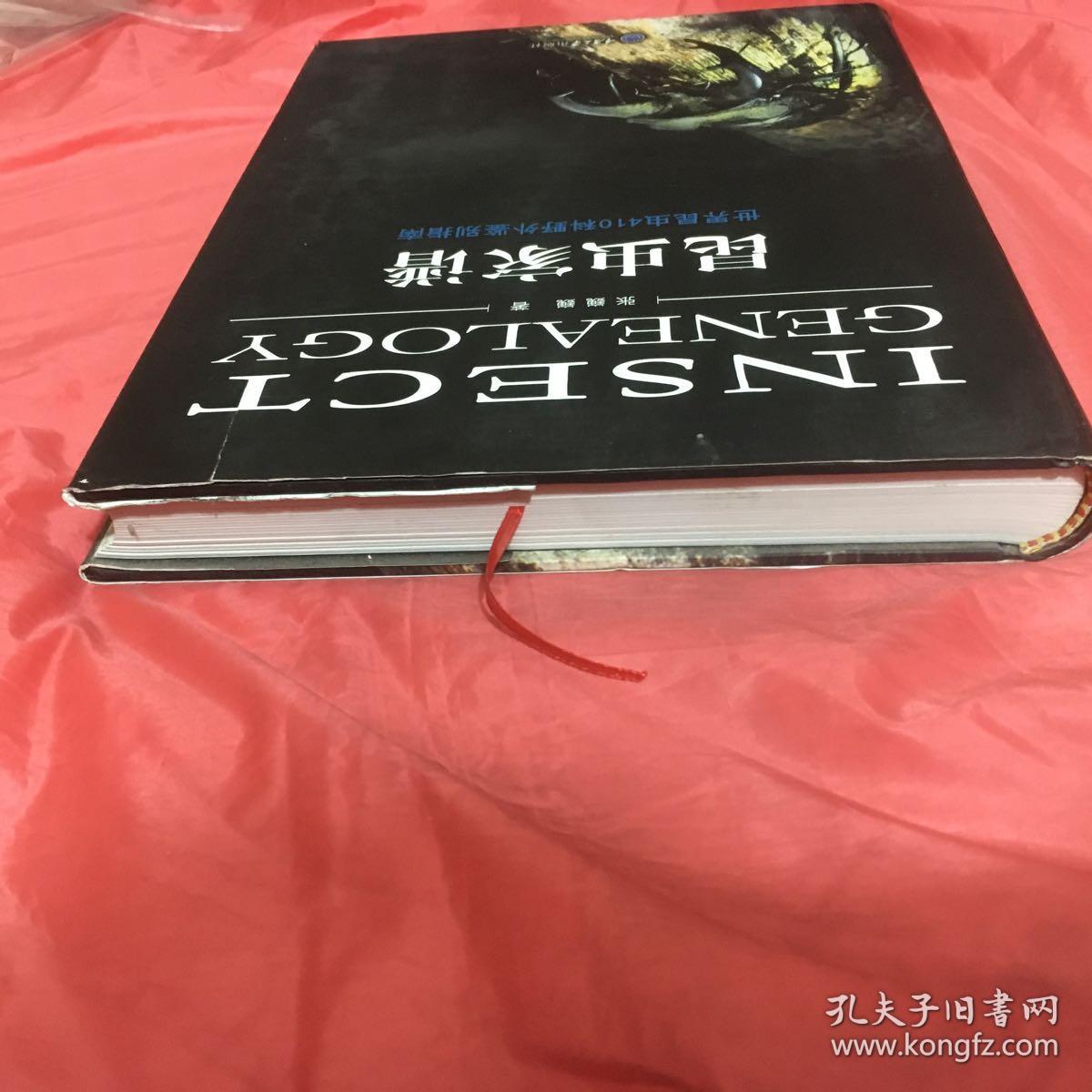 小蜂科/319姬小蜂科/320 缘腹细蜂科/320锤角细蜂科/321姬蜂科/321