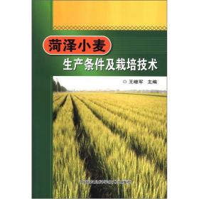 小麦种植技术书籍 菏泽小麦生产条件及栽培技术