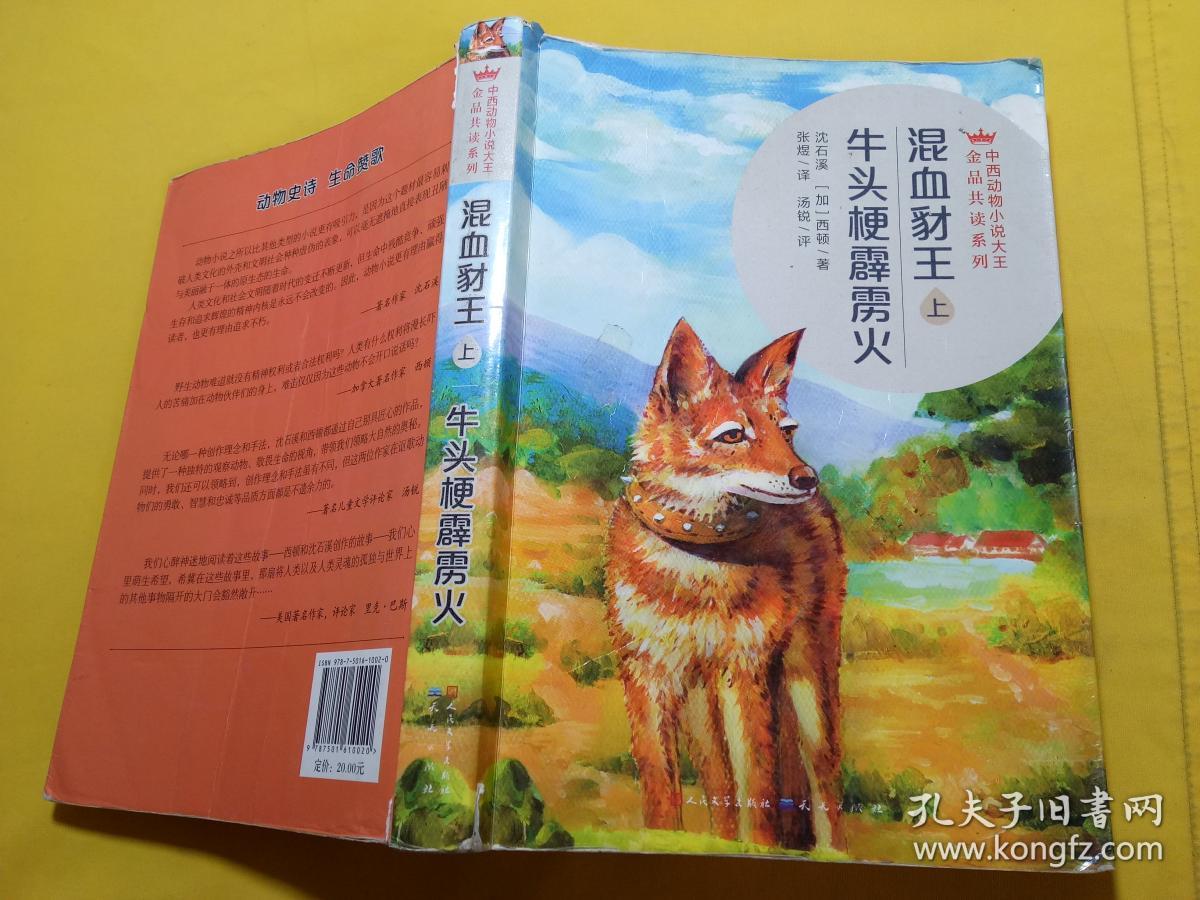 混血豺王上牛头梗霹雳火