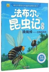 （四色）法布尔昆虫记——捕蝇蜂：合格的母亲