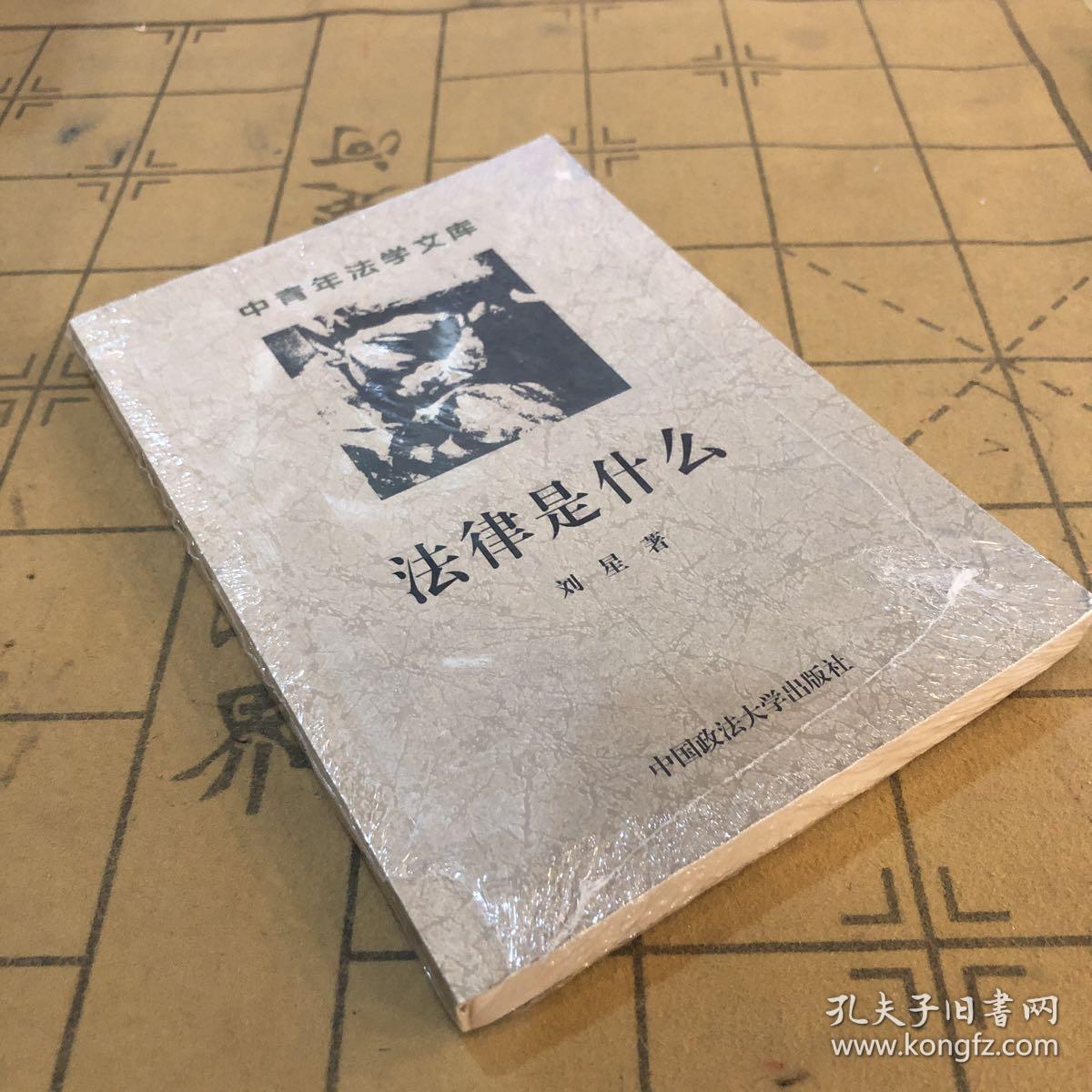 中青年法学文库:法律是什么