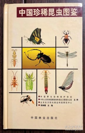 中国珍稀昆虫图鉴