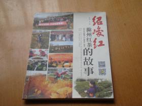 滁州红茶的故事：绍峻红（连载.第二集）