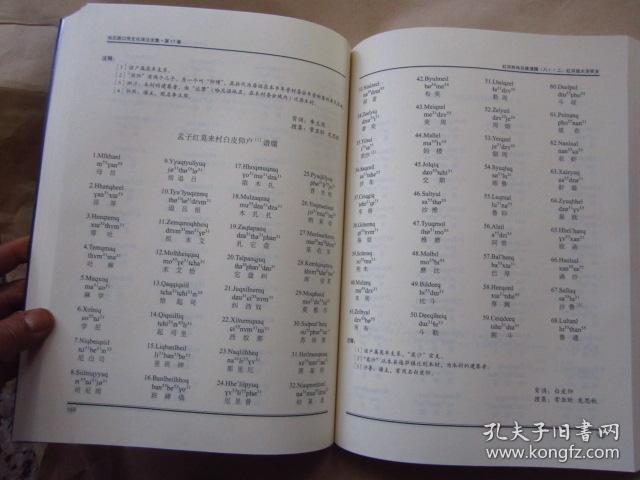 正版现货:《 哈尼族口传文化译注全集》第17卷 红河州哈尼族谱牒【八