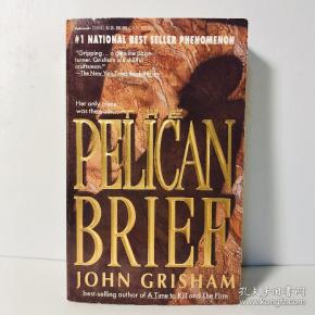 the pelican brief