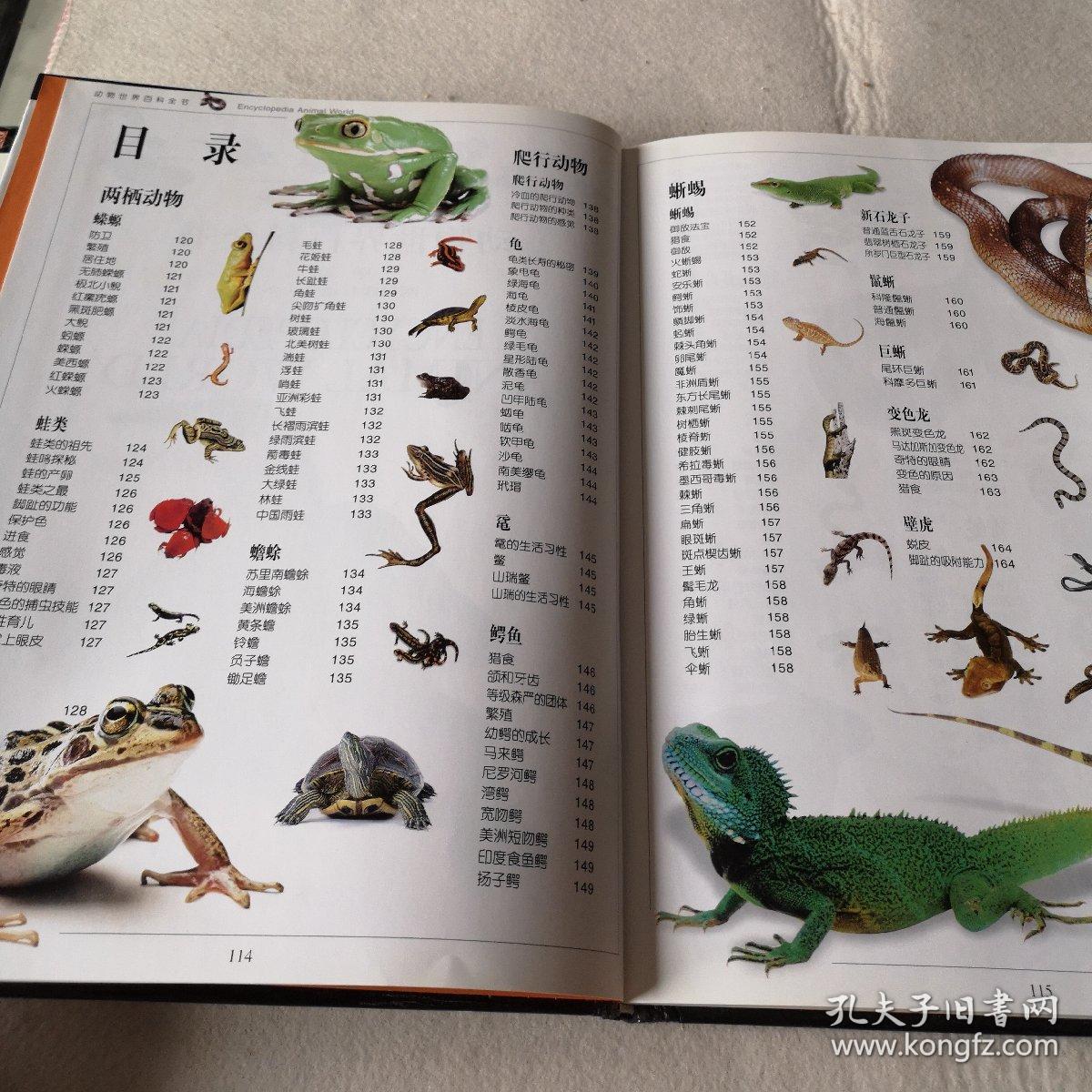 动物世界百科全书上中下
